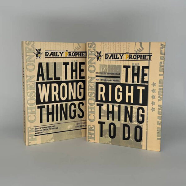 Rights and Wrongs. The Right thing to Do. All the Wrong things - Image 3