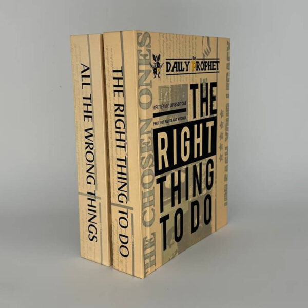 Rights and Wrongs. The Right thing to Do. All the Wrong things - Image 4