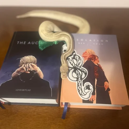 The Auction photo review