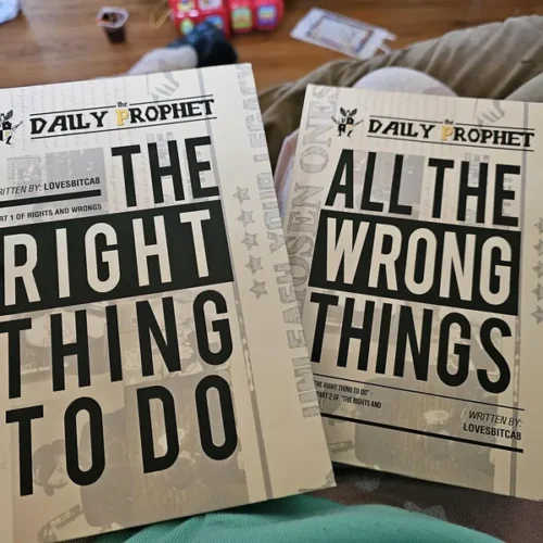 Rights and Wrongs. The Right thing to Do. All the Wrong things photo review
