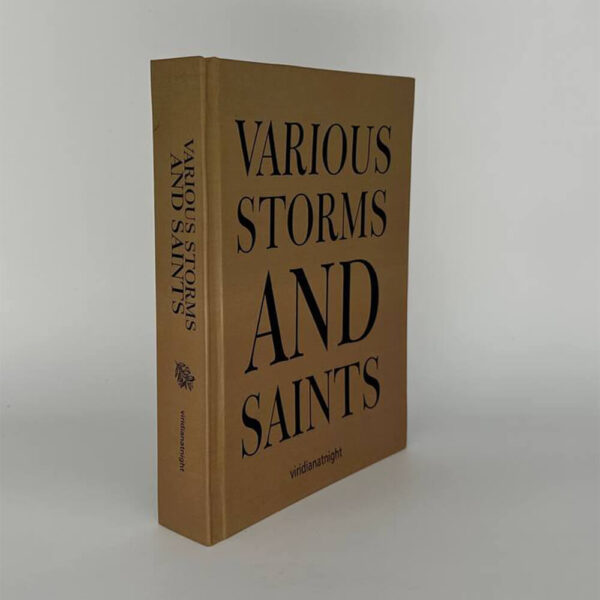 Various Saints & Storms - Image 2